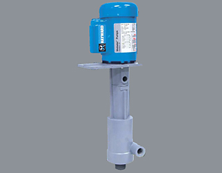 Hayward/Webster - D Series Pump - D1